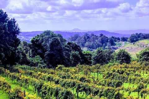 Queensland Food Tour: Farm-to-Table Indulgence - Australia Accommodation 6