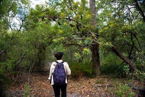 Pack-free Camping: Lake McKenzie Central Hike - 2 Days - Australia Accommodation 1