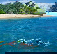 Wavedancer Low Isles Great Barrier Reef Sailing Cruise from Port Douglas - Australia Accommodation