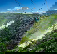 Skyrail Rainforest Cableway Day Trip from Port Douglas - Australia Accommodation