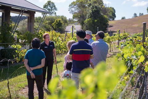 Sirromet Winery Tour And Wine Tasting - Australia Accommodation 1