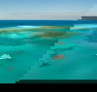 Great Barrier Reef Dive and Snorkel Cruise from Mission Beach - Australia Accommodation