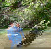 Mossman River Drift Snorkelling from Port Douglas or Mossman - Australia Accommodation