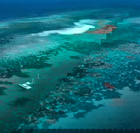 Outer Barrier Reef Sailing and Snorkeling Adventure from Port Douglas - Australia Accommodation