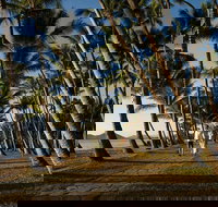 Port Douglas Round-Trip Transfer from Cairns with Free Time in Port Douglas - Australia Accommodation