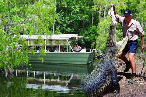 Crocs, Creatures And Culture Ex Northern Beaches - Australia Accommodation 1