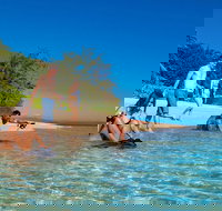 Half Day Low Isles Snorkelling Tour from Port Douglas - Australia Accommodation