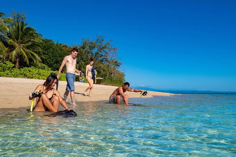 Half Day Low Isles Snorkelling Tour From Port Douglas - Australia Accommodation 2
