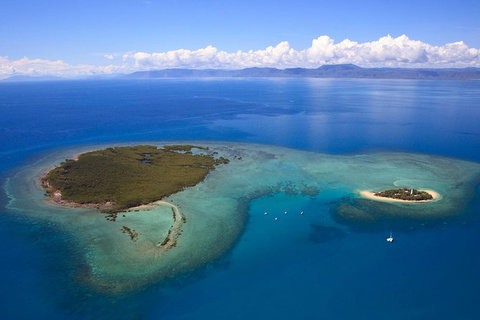 Half Day Low Isles Snorkelling Tour From Port Douglas - Australia Accommodation 4