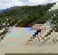 Private Daintree Wanderer Tour - Australia Accommodation