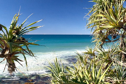 Gold Coast City Sights Tour From Brisbane - Australia Accommodation 10
