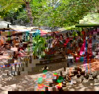 Kuranda Day Trip small group from Port Douglas by bus - Australia Accommodation