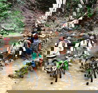 Half Day Bump Track MTB Ride - Australia Accommodation