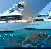 Great Barrier Reef Cruise from Townsville or Magnetic Island - Australia Accommodation
