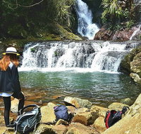 Lamington Day Tour - Australia Accommodation