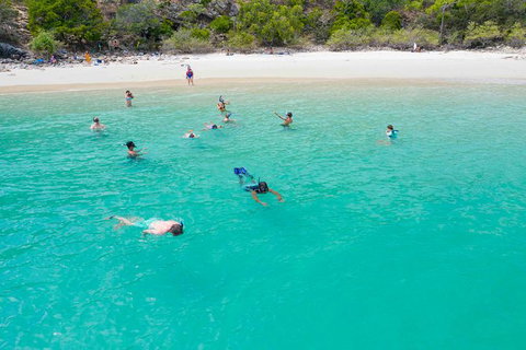 Stray Australia: Brisbane To Cairns - Freestyle Travel Pass - Australia Accommodation 0