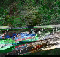 Daintree River Cruise - Australia Accommodation