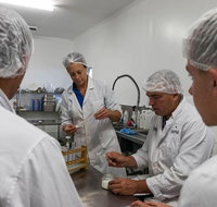 Camel Farm Lab Experience - Australia Accommodation