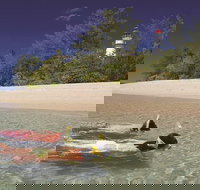 Wavedancer Low Isles Great Barrier Reef Sailing Cruise from Palm Cove - Australia Accommodation