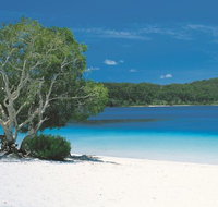 2-Day Fraser Island 4WD Tour from Brisbane or the Gold Coast - Australia Accommodation