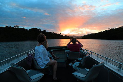 Daintree River Sunset Cruise - Australia Accommodation 0