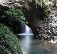 Small-Group 4WD Springbrook National Park Day Trip from Brisbane - Australia Accommodation