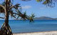 Conway National Park Coral Beach Walk Including Shute Harbour From Airlie Beach - thumb 1