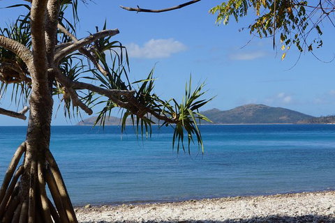 Conway National Park Coral Beach Walk Including Shute Harbour From Airlie Beach - Australia Accommodation 1