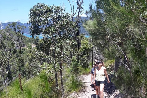 Scenic Guided Walk Up Mt Rooper For Best Whitsunday Views From Airlie Beach - Australia Accommodation 1