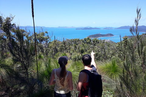 Scenic Guided Walk Up Mt Rooper For Best Whitsunday Views From Airlie Beach - Australia Accommodation 0