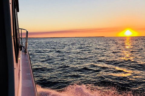 Hervey Bay Whale Swim And Watch - Australia Accommodation 7