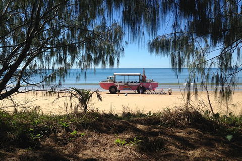 1770 Coastline Tour By LARC Amphibious Vehicle Including Picnic Lunch - Australia Accommodation 0