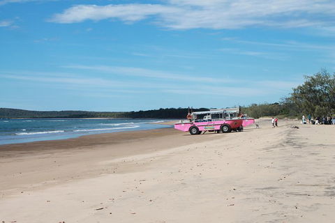 1770 Coastline Tour By LARC Amphibious Vehicle Including Picnic Lunch - Australia Accommodation 6