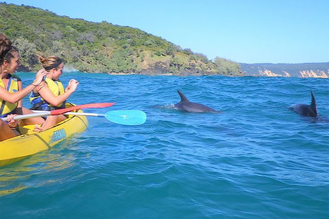 Half-Day Kayak With Dolphins And 4WD Beach Drive From Rainbow Beach - Australia Accommodation 1
