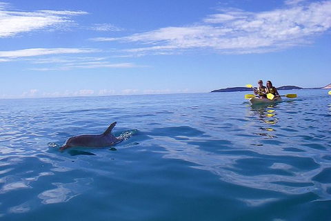 Half-Day Kayak With Dolphins And 4WD Beach Drive From Rainbow Beach - Australia Accommodation 9
