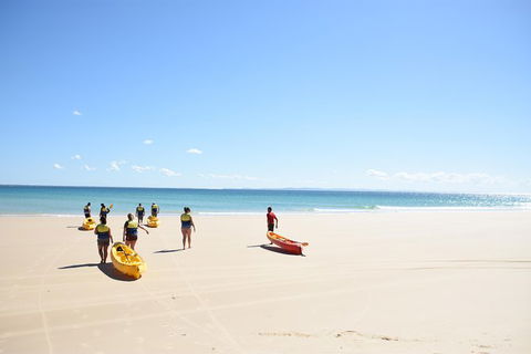 Half-Day Kayak With Dolphins And 4WD Beach Drive From Rainbow Beach - Australia Accommodation 10