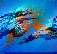 Calypso Outer Great Barrier Reef Cruise from Port Douglas - Australia Accommodation