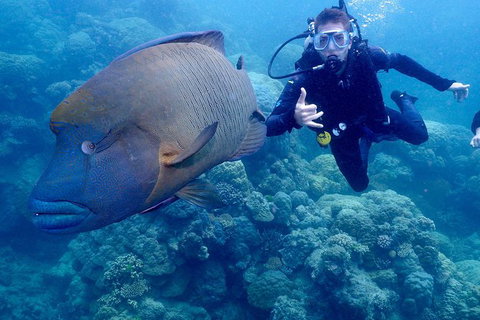 Calypso Outer Great Barrier Reef Cruise From Port Douglas - Australia Accommodation 6