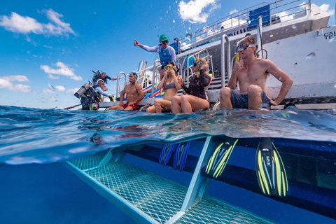 Calypso Outer Great Barrier Reef Cruise From Port Douglas - Australia Accommodation 4