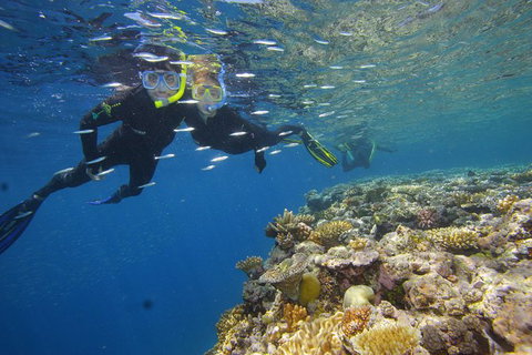 Calypso Outer Great Barrier Reef Cruise From Port Douglas - Australia Accommodation 3