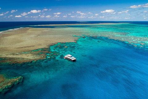 Calypso Outer Great Barrier Reef Cruise From Port Douglas - Australia Accommodation 12