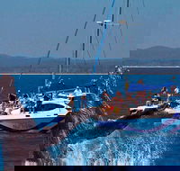 Blue Dolphin Exclusive Whale Watch Encounters - Australia Accommodation
