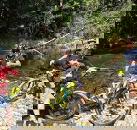 Electric Mountain Bike Rainforest Eco Tour - Australia Accommodation