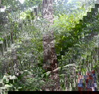 Sightseeing Tour - Half Day - Australia Accommodation