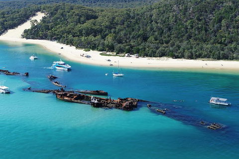All Inclusive Dolphin And Tangalooma Wrecks Cruise Departing Gold Coast - Australia Accommodation 0
