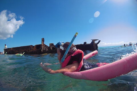 All Inclusive Dolphin And Tangalooma Wrecks Cruise Departing Gold Coast - Australia Accommodation 1
