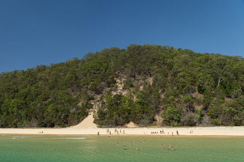 All Inclusive Dolphin And Tangalooma Wrecks Cruise Departing Gold Coast - Australia Accommodation 3