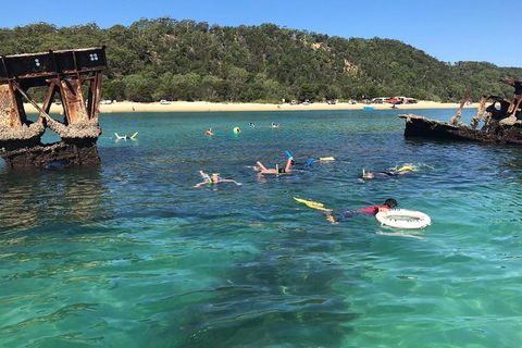 All Inclusive Dolphin And Tangalooma Wrecks Cruise Departing Gold Coast - Australia Accommodation 9