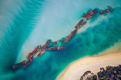 All Inclusive Dolphin And Tangalooma Wrecks Cruise Departing Gold Coast - Australia Accommodation 6
