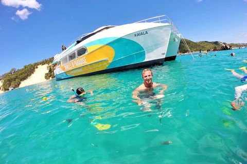 All Inclusive Dolphin And Tangalooma Wrecks Cruise Departing Gold Coast - Australia Accommodation 2